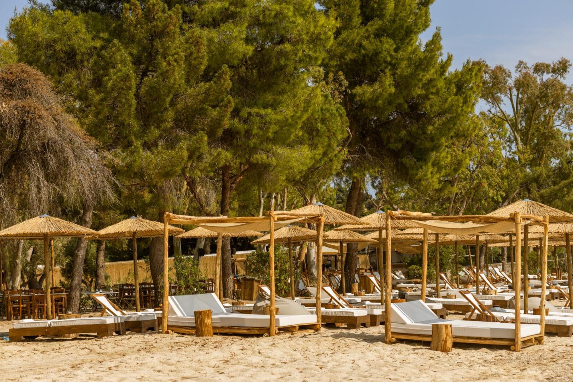 Ergon Beach House Nikiti Ngoại thất bức ảnh